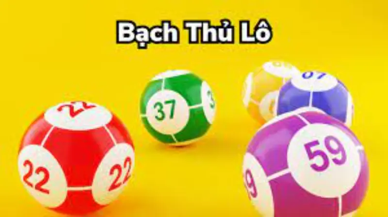 Bắt lô bạch thủ miền bắc theo cầu