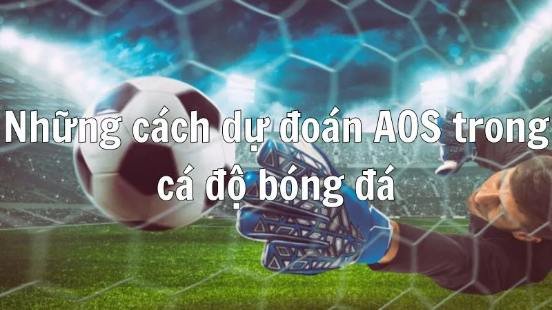 Kinh nghiệm tham gia chơi kèo AOS đơn giản dễ thắng cao