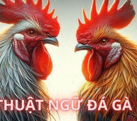 Các thuật ngữ đá gà anh em kê thủ cần biết